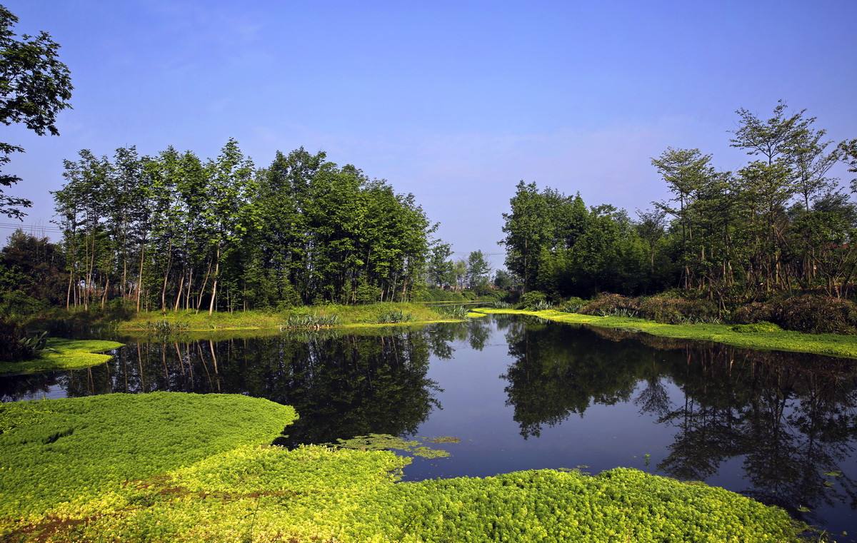 生活污水怎么處理？人工濕地or生活污水處理設(shè)備？